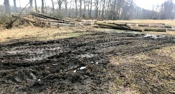 Na podnět pirátských zastupitelů byla zastavena těžba dřeva v přírodní rezervaci Vrbenské rybníky u Českých Budějovic